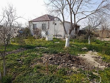 qebele a frame evler: 6 sot, Barter mümkündür, Kupça (Çıxarış) — 1