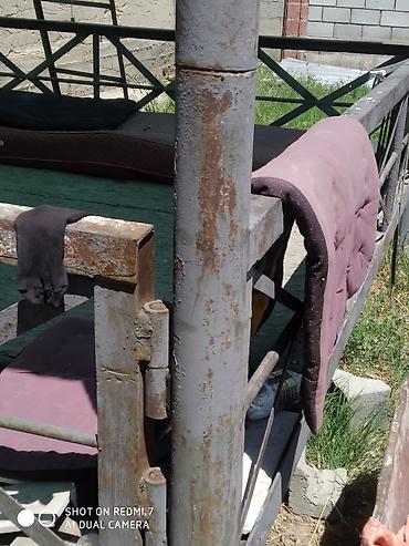 Тапчаны: Тапчан — 4