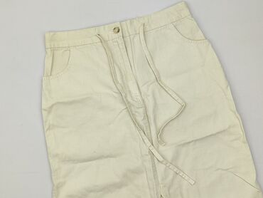 spódnice plisowane khaki: Women`s skirt, size 3XL (EU 46)