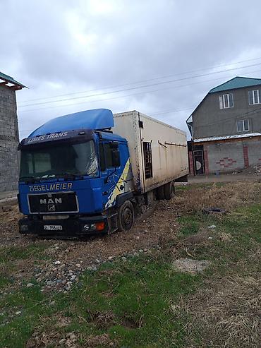 боковые стекло спринтер: Грузовой автомобиль MAN с изотермическим фургоном - Марка/модель: MAN — 2
