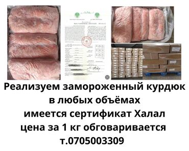 Мясо, рыба, птица: Реализуем замороженный курдюк в любых объёмах. Имеется сертификат