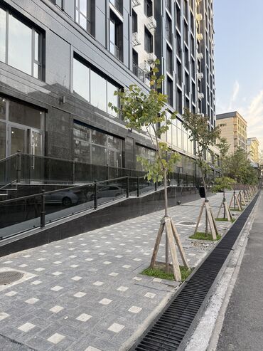 аренда манкюрный столик: 1 комната, 50 м², Элитка, 3 этаж, ПСО (под самоотделку)