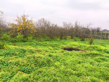 Həyət evləri və villaların satışı: 8 otaq, 100 kv. m, Kredit yoxdur, Təmirsiz — 15