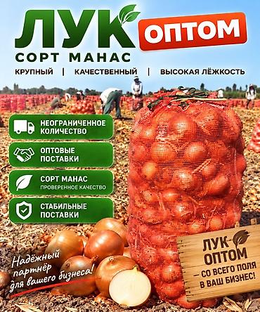 суши заказ: Лук Оптом — 2