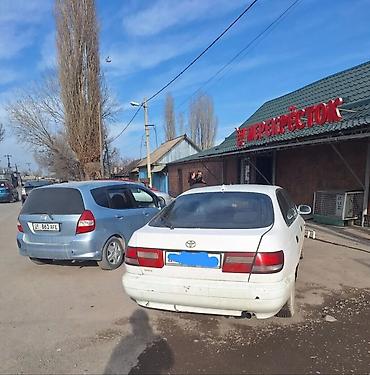 e klass: Toyota Carina E: 1995 г., 1.8 л, Механика, Бензин, Хэтчбэк — 5