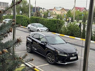 Lexus NX: 2020 г., 0.2 л, Автомат, Бензин, Кроссовер
