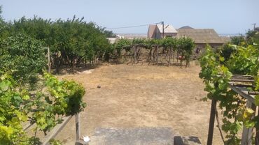 zığ qəsəbəsində evlər: 3 sot, Mülkiyyətçi, Kupça (Çıxarış)