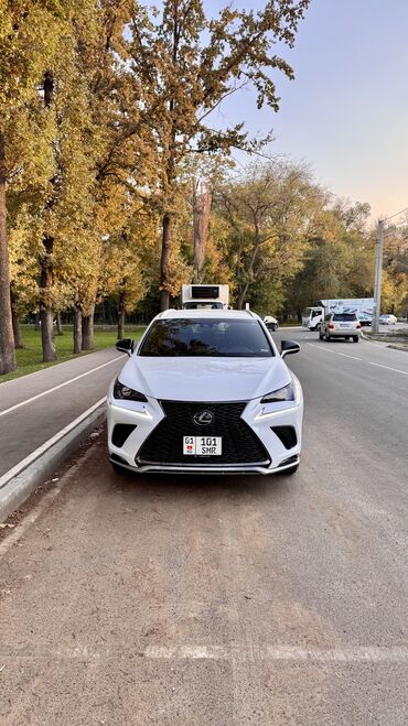 меняю на авто обмен: Lexus NX: 2019 г., 2 л, Автомат, Бензин, Кроссовер