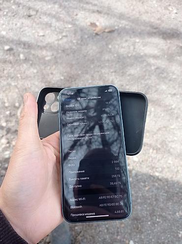 Apple iPhone: IPhone 13, Б/у, 256 ГБ, Голубой, Зарядное устройство, Защитное стекло, Чехол, 89 % — 10