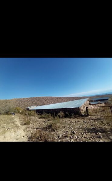 Другие товары для дома и сада: Продается действующий бизнес кашар вместе с садом для разведения скота — 4