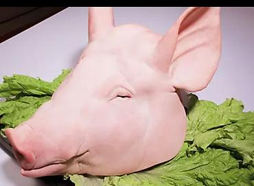 Свинина: Свинина. Опт от 10 кг. - Ассортимент: полутуши, грудинка/бекон с — 15