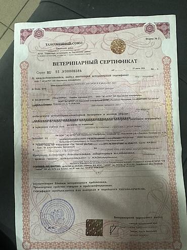 ветеринарный: Яйца куриные столовые, коричневой окраски скорлупы. Упаковка — прочные — 2
