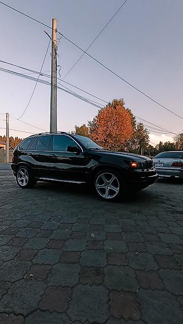 х5 м: BMW X5: 2004 г., 4.4 л, Автомат, Бензин, Внедорожник — 4