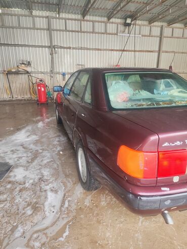 стекло на фару мерс 124: Audi 80: 1992 г., 2.8 л, Механика, Бензин, Седан