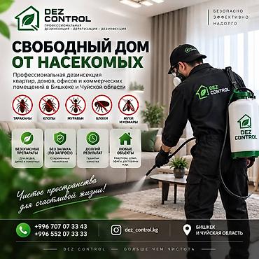профессиональный массаж: Дезинфекция, дезинсекция, | Тараканы, | Квартиры — 1