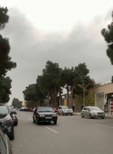 VAZ (LADA): VAZ (LADA) 2115 Samara: 1.6 l | 2010 il 290000 km Sedan — 5