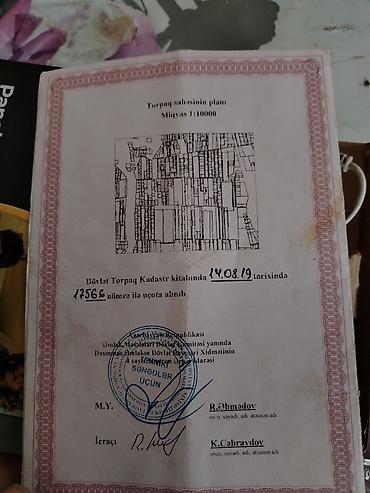 cıxarış: Kənd təsərrüfatı, Kupça (Çıxarış) — 1