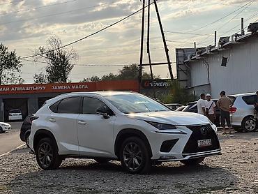 300 000: Lexus NX: 2020 г., 2 л, Автомат, Бензин, Кроссовер — 9