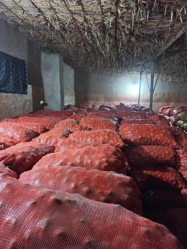 Картошка: Картошка Пикассо — 3