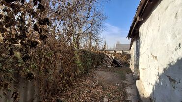 Продажа домов: Дом, 150 м², 5 комнат, Собственник, Косметический ремонт — 4