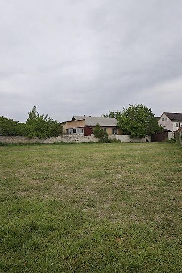 3: 9 соток, Для строительства, Красная книга — 2