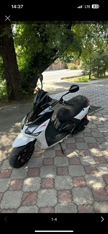 скупка мотоцикла: СРОЧНАЯ ПРОДАЖА! Скутер SAMURAI 2024 🚨 📍 Цена: всего 39000 сом — ниже