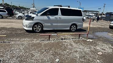 алфа: Toyota Alphard: 2008 г., 3 л, Автомат, Бензин, Минивэн — 1