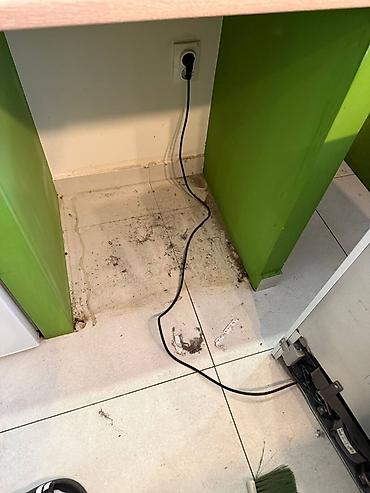 Usluge u domaćinstvu: 🏠 Uborka kvartir v Novi Sade — A&K Cleaning 🧹 👫 My - Artom i — 11