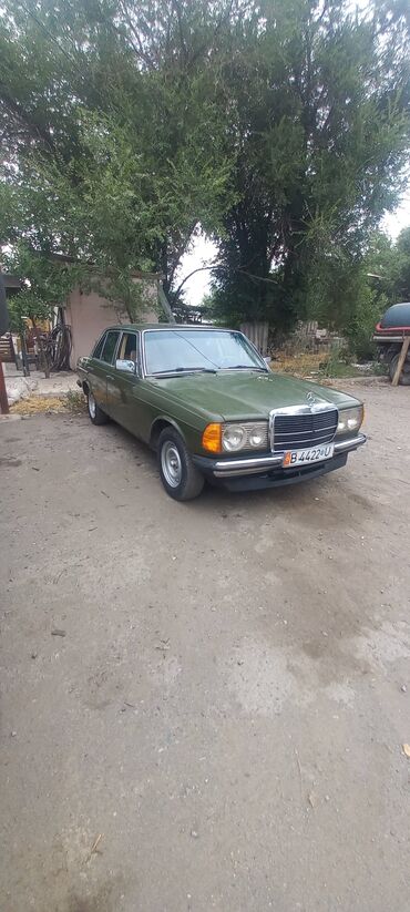 Mercedes-Benz: Mercedes-Benz W123: 1982 г., 2 л, Механика, Дизель, Седан