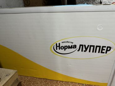 купить инкубационные яйца индюков биг 6: Инкубаторы «Норма Луппер» б/у в хорошем состоянии!Вылуп 80-85%