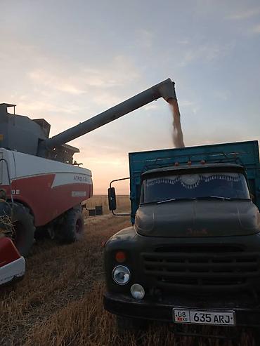 мтз 82 1 кун: Комбайн зерноуборочный Rostselmash ACROS 530 с жаткой. продаю комбаин — 4
