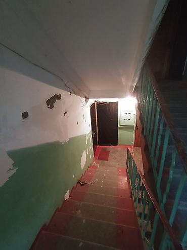 Другие виды отделочных работ: 3-5 лет опыта — 14