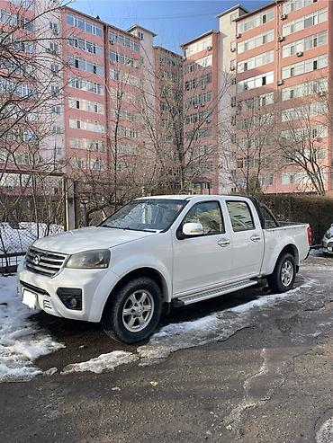 Great Wall: Great Wall Wingle: 2017 г., 2.4 л, Механика, Бензин, Пикап — 6