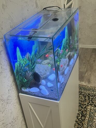 Akvariumlar: Akvarium-şkaf, Balıqlarla birlikdə, 90 l, Ödənişli çatdırılma — 4