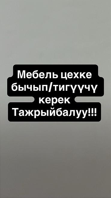 чехия: Закройщик, Мягкая мебель — 1
