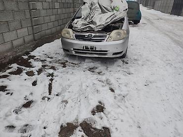 Toyota: Toyota Corolla: 2003 г., Бензин, Универсал — 8