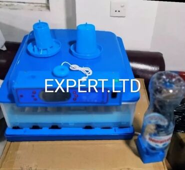 Toyuqlar: Toyuq, Yumurtalıq, Ünvandan götürmə, Ödənişli çatdırılma, Rayonlara çatdırılma — 3