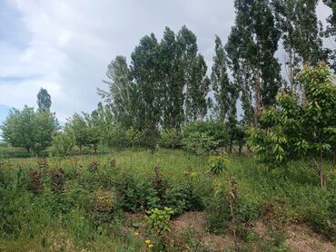 Продажа участков: 120 соток, Для сельского хозяйства, Красная книга — 11