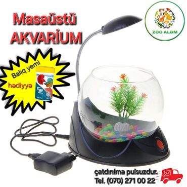 heyvan yuvasi: Masaüstü Akvarium.(yumru akvarium)(akvarium) Təqdim etdiyimiz akvarium
