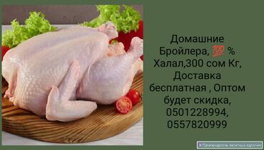 мясо краба: Тушки бройлеров.Есть доставка.Можно оптом