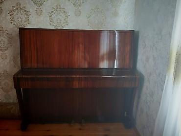 Музыкальные инструменты: Belarus (Беларусь) akustik pianino – upright model - Korpus: klassik — 6