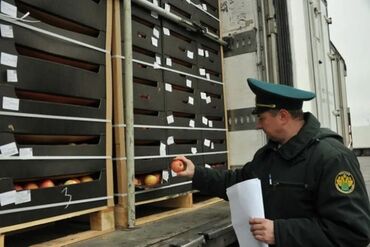 Другие услуги: Тиҷорати байналмилалӣ 🌍 Тиҷорати байналмилалӣ – Воридот / Содирот — 12