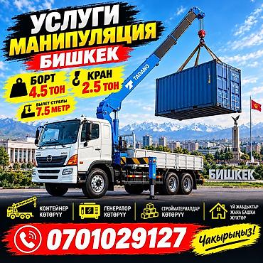 Манипулятор, Mitsubishi
