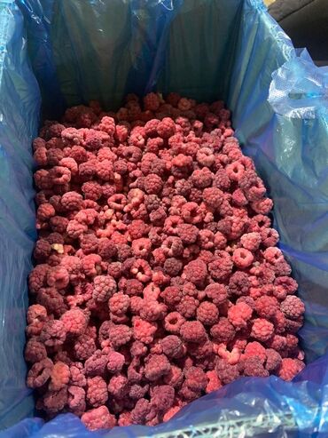 печать на наклейках: 🍒 Шоковая заморозка ягоды 🍓 Малина, вишня и другие — быстро