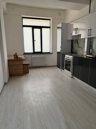 кыргызское взморье цены: 1 комната, 46 м², Элитка, 7 этаж, Евроремонт — 4