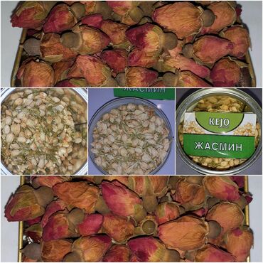 розы корни: Продам Цветки жасмина для чая и цветки Чайной Розы! Жасминовый чай —