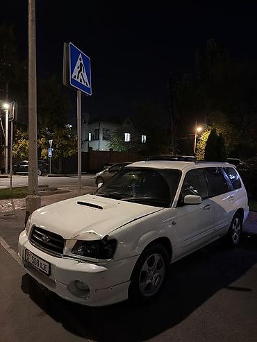 авто фышка: Subaru Forester: 2004 г., 2 л, Автомат, Бензин, Универсал — 1