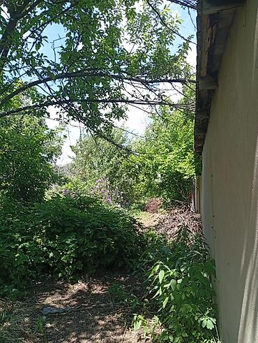 Продажа коттеджей и домов: Продаем дом 🏠 с двумя участками земли. Две красные книги. ✓Торг  — 13