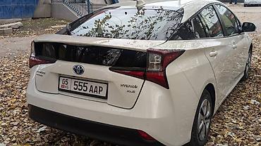 Toyota: Toyota Prius: 2019 г., 1.8 л, Вариатор, Гибрид, Хэтчбэк — 6