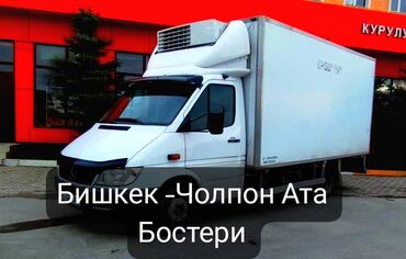 урна для мусора цена бишкек: Porter, Көчүү, эмеректерди көчүрүү, Шаар ичинде, жүк ташуучу жумушчусу менен